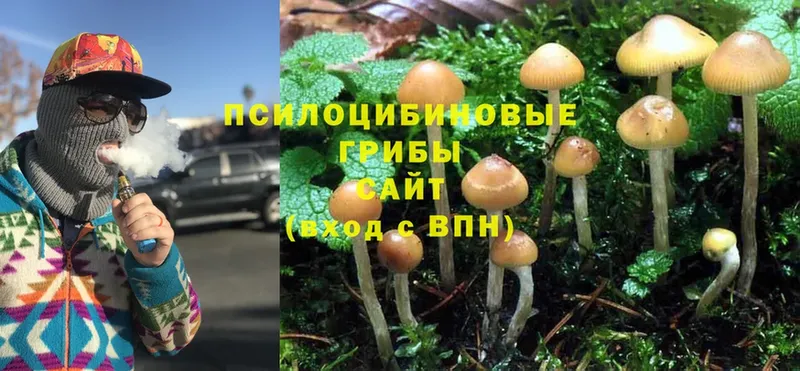 МЕГА сайт  Бирск  Галлюциногенные грибы MAGIC MUSHROOMS 